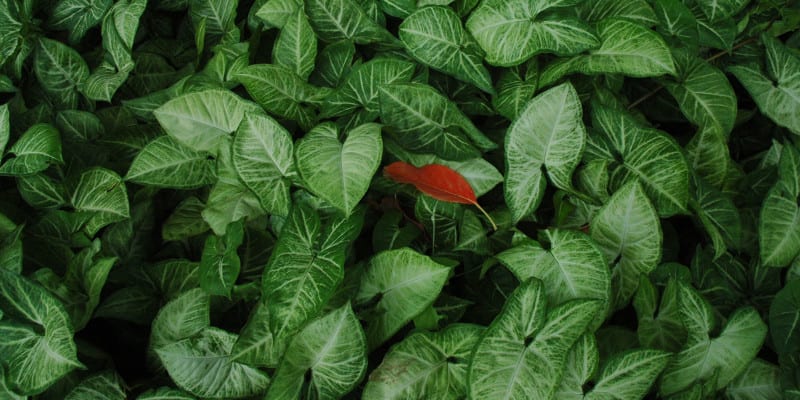 Blog2 | Sector45 Differentiate or Die