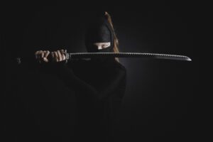 Ninja