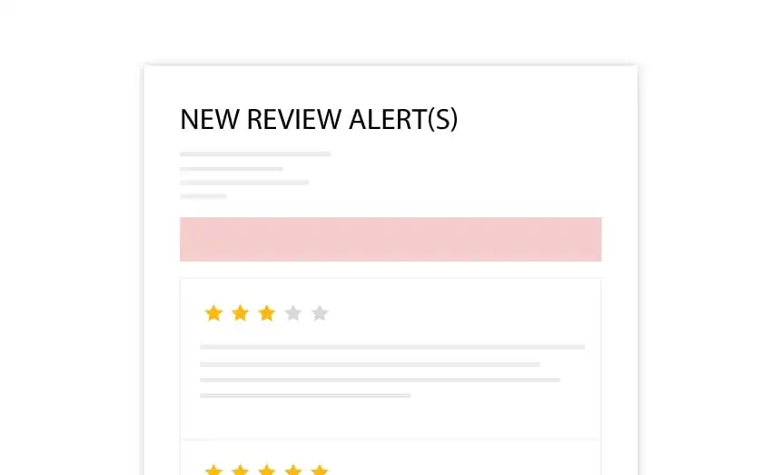 New Reviews